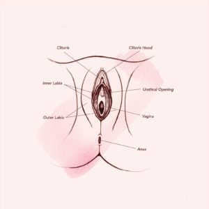 HEAL VAGINISMUS
